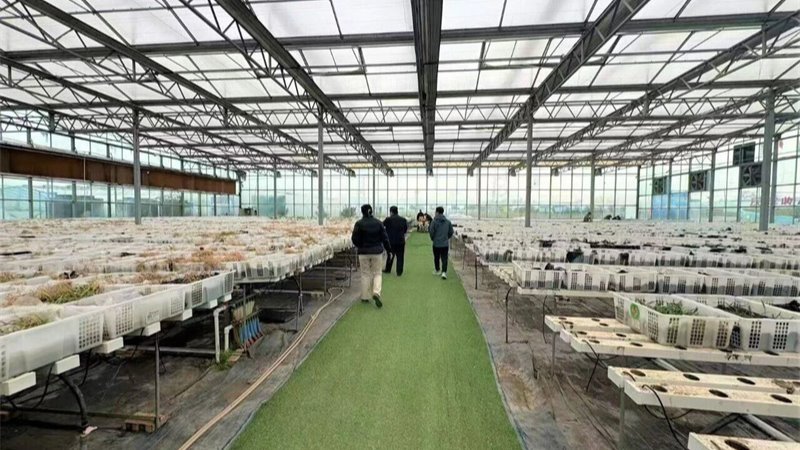 媒體關注 | 民間投資專項擔保政策在甘肅進入實質推進階段